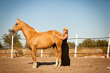Image showing young woman training horse outside in summer
