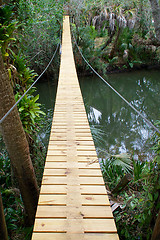 Image showing long suspension walking bridge in tropics