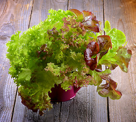 Image showing Mixed Lettuce