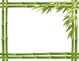 Image showing Bamboo frame. Vector background