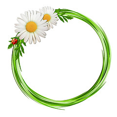 Image showing Grass frame with daisy flowers and ladybug .