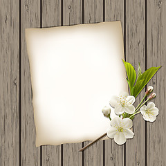 Image showing Blank paper with blossoming cherry branch