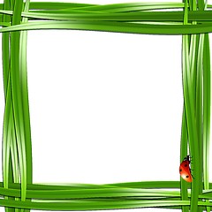 Image showing Grass frame with ladybugs.