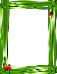 Image showing Grass frame with ladybugs.