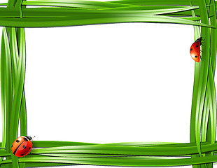 Image showing Grass frame with ladybugs.
