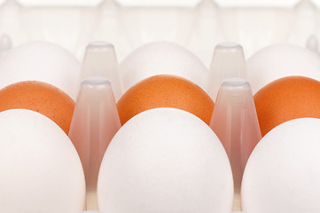 Image showing Eggs in box