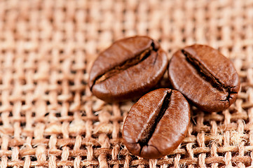 Image showing Coffee beans