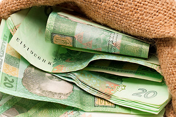 Image showing Money bag with hryvna