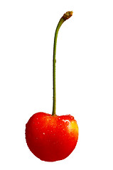 Image showing Sweet cherries