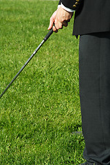 Image showing Golfing businessman