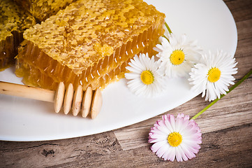 Image showing honeycomb with daisies on white plate