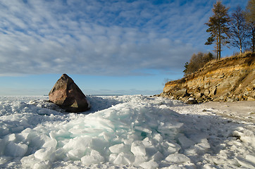 Image showing North Estonian limestone shore on a sunny winter day