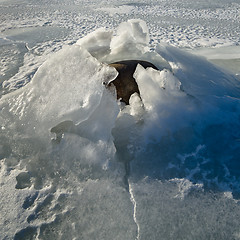 Image showing  Stones in the ice on the Baltic Sea coast
