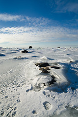 Image showing  Stones in the ice on the Baltic Sea coast