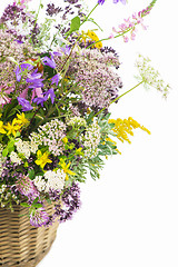 Image showing Bouquet of medicinal herbs