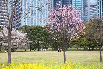 Image showing Tokyo