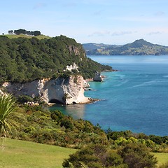 Image showing New Zealand coast