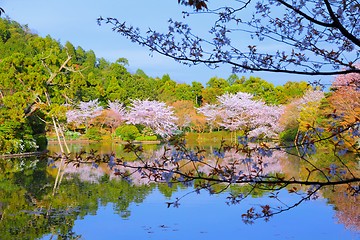 Image showing Kyoto, Japan