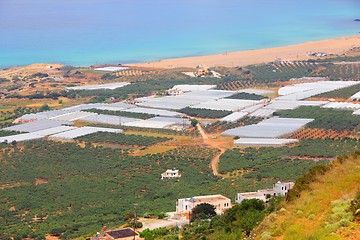 Image showing Greece agriculture