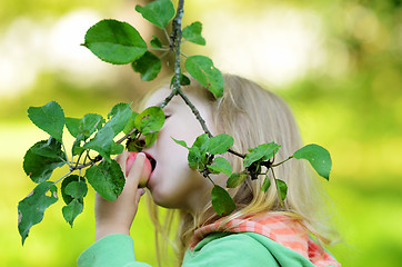 Image showing little girl eating an apple on a branch in garden