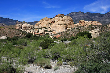 Image showing Red Rock Canyon