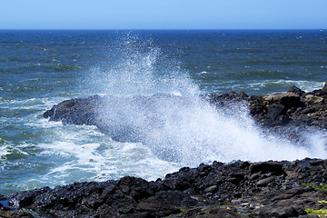 Image showing At the Oregon Coast