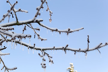 Image showing Ice and snow in the morning