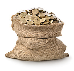 Image showing Bag with coins