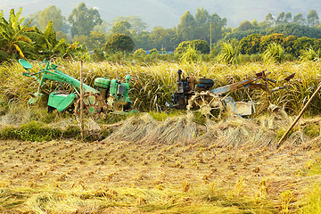 Image showing tractor on rice farm