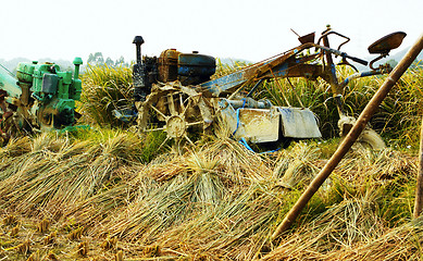 Image showing tractor on rice farm