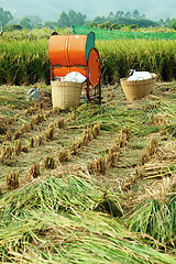 Image showing Vintage rice wood machine 