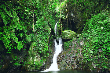 Image showing Deep forest waterfall 