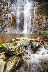 Image showing Nature Scenery 