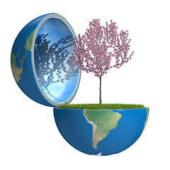 Image showing Tree inside planet