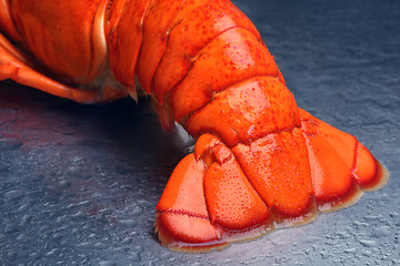 Image showing Lobster tail