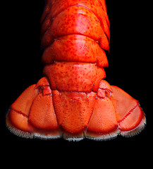 Image showing Lobster tail