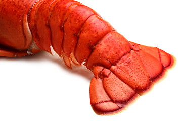 Image showing 	Lobster tail