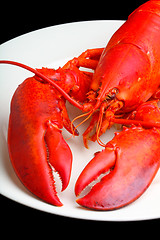 Image showing Red Lobster 