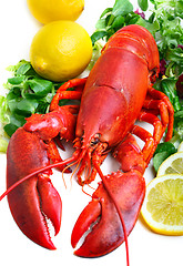 Image showing 	boiled lobster