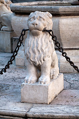 Image showing Bergmo lion