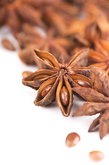 Image showing Whole Star Anise isolated on white background