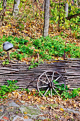 Image showing Cartwheels near the fence