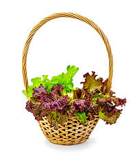 Image showing Lettuce green and red in a wicker basket