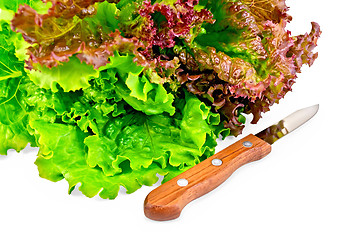 Image showing Lettuce green and red with a knife