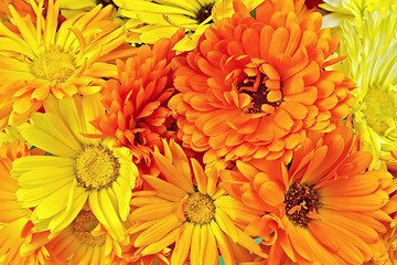 Image showing Calendula flowers yellow and orange bouquet