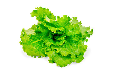 Image showing Lettuce green