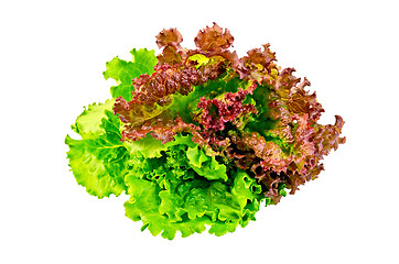 Image showing Lettuce green and red