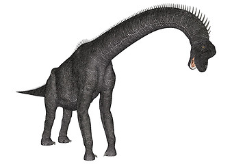 Image showing Dinosaur Brachiosaurus