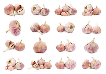 Image showing Garlic