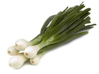 Image showing onion